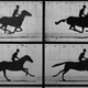 Illustration for article titled Scientists Encode Living DNA With Muybridge’s Galloping Horse Filmem/em